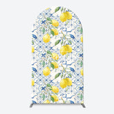 Aperturee - Vintage Mediterranean Lemon Arch Birthday Backdrop